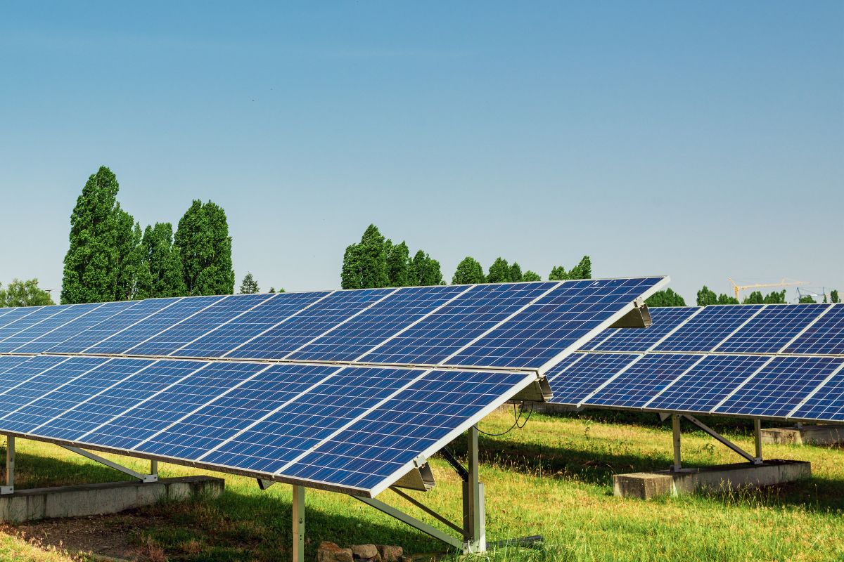 Freiflächenanlage – Solarpark Reinigung mit Robsys-Roboter